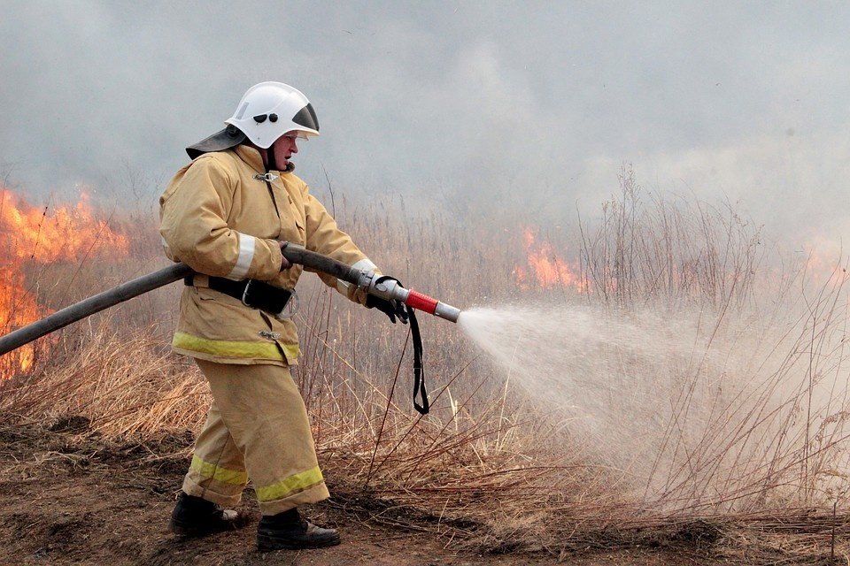 Пожарно-спасательные подразделения ликвидировали возгорание травы в Красноборском районе Архангельской области.